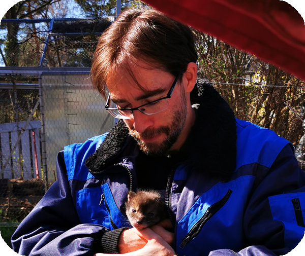 Marcel Halbich hält einen jungen Fuchs-Welpen in der Wildtierstation