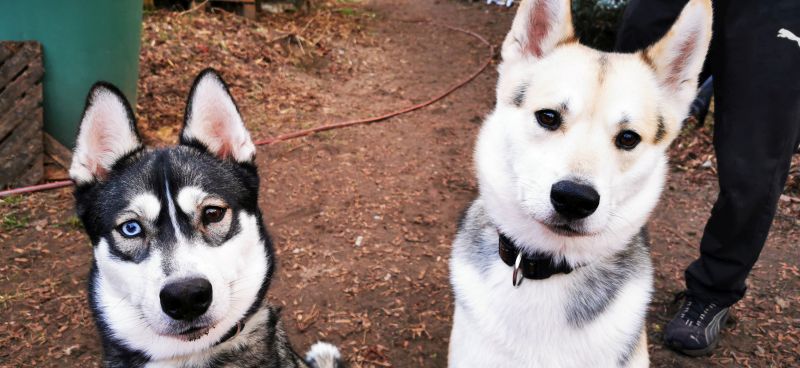 yuna und mellon