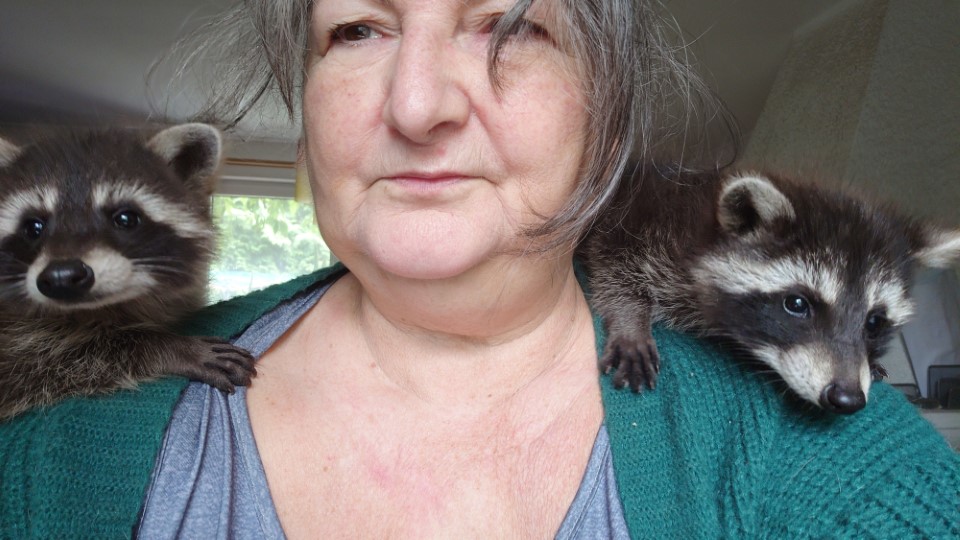 jesse und susan