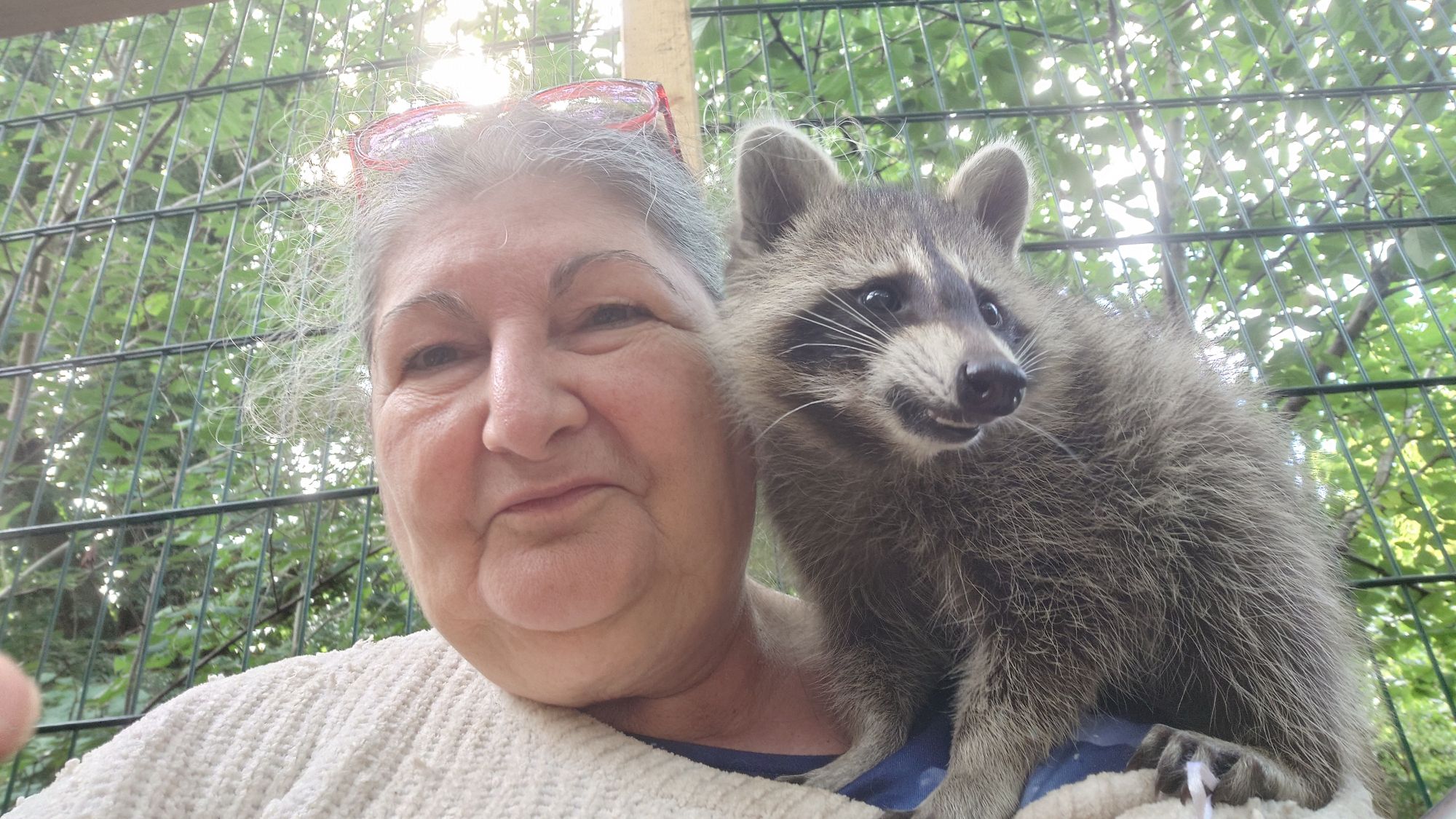Waschbär Mika und Uthred uthred grinsend klein